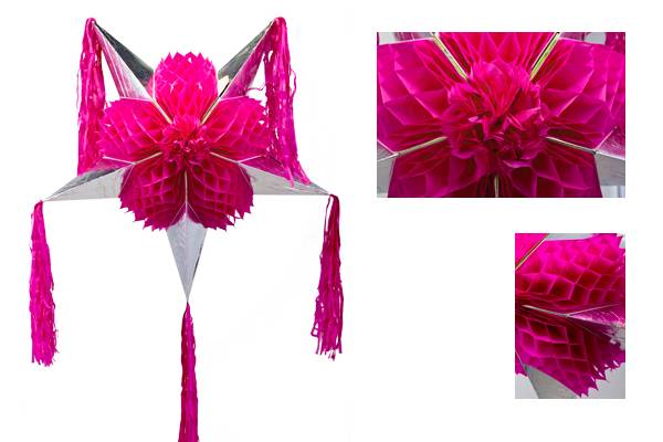 Rosa Mexicano